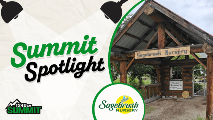 Sagebrush Nursery contest banner